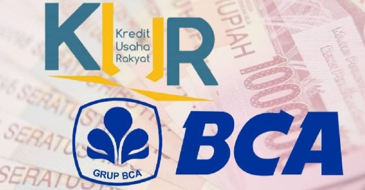 Simulasi Tabel KUR BCA Membantu Pelaku UMKM Menentukan Tenor Dan Plafon