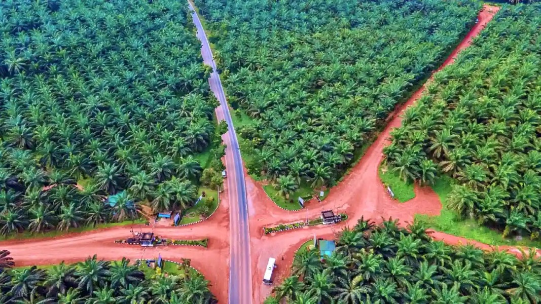 Gozco Plantations Bantah Isu Akuisisi Happy Hapsoro