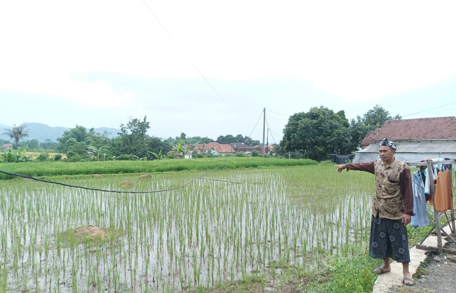 Kabel Listrik Kendor di Desa Kertosono, Warga Desak PLN Bertindak Cepat
