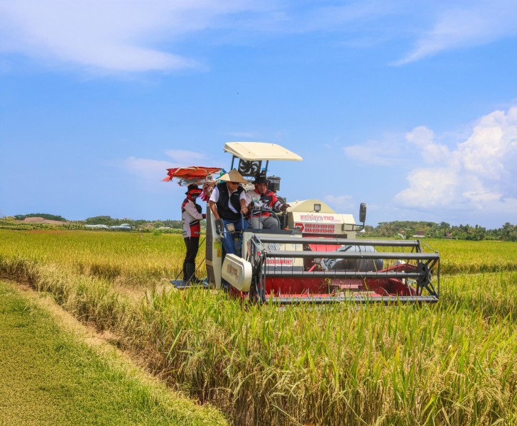 Serapan Beras Petani Tembus 1 Juta Ton, Bulog Optimalkan Momentum Panen Raya untuk Swasembada Pangan