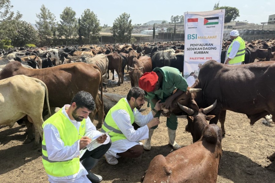 BSI Maslahat Salurkan Kurban dalam Bentuk Daging Kaleng ke Palestina, Solusi Inovatif di Tengah Krisis