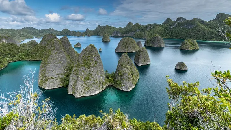 Keindahan Raja Ampat yang Menakjubkan