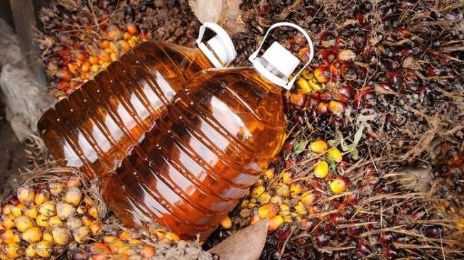 Gapki Optimistis Ekspor CPO Indonesia Tetap Kuat di Pasar Amerika