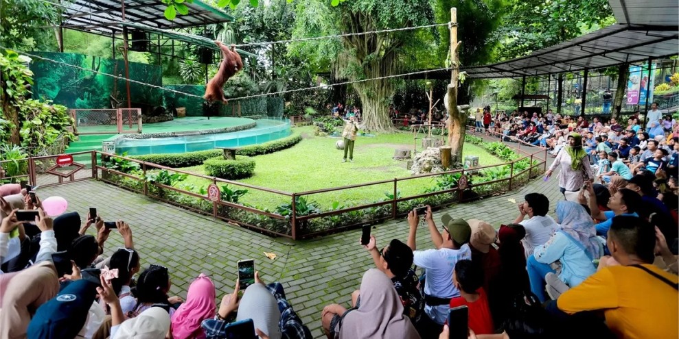 Panduan Lengkap Wisata Edukatif Jogja dengan Update Tiket Gembira Loka 2026