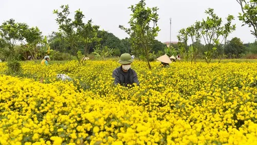 Petani Pasuruan Terkendala KTP Digital Saat Tebus Pupuk Subsidi
