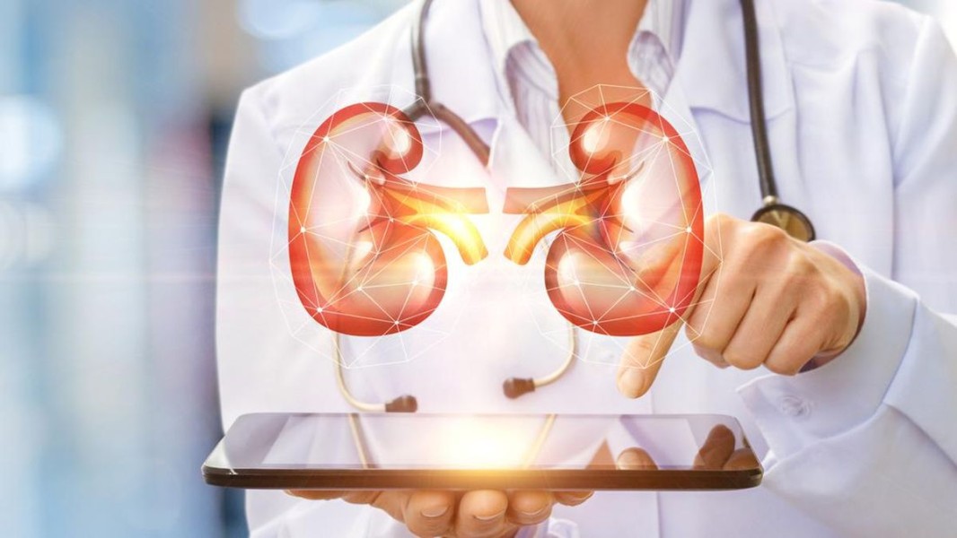 7 Jenis Makanan yang Membuat Ginjal Bekerja Lebih Keras Setiap Hari