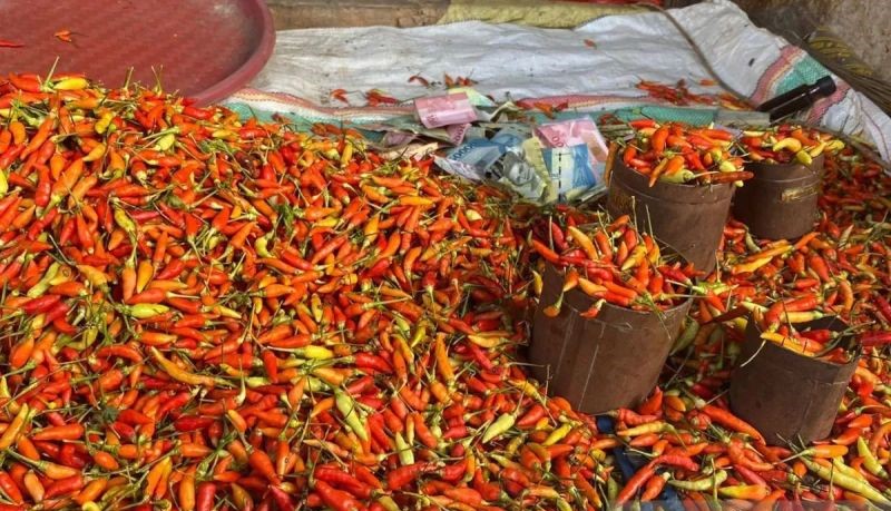 Tren Harga Pangan Nasional Bergerak, Cabai dan Telur Naik Stabil