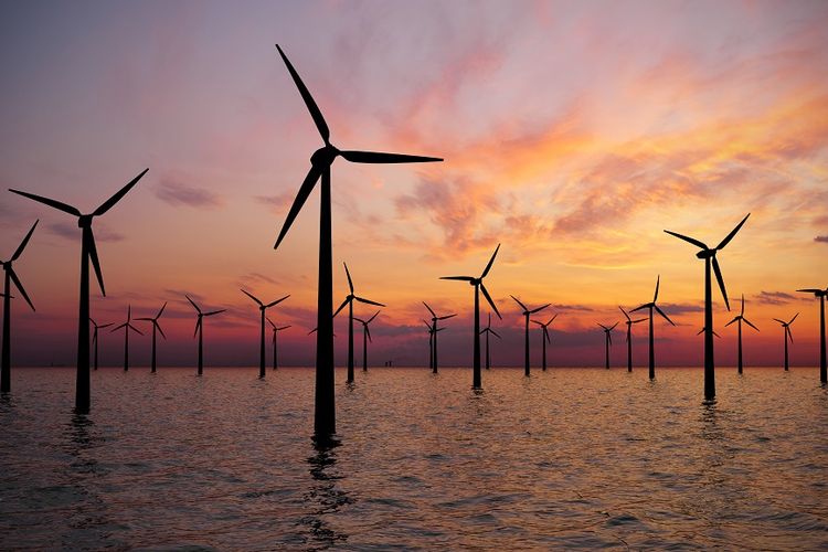 Kolaborasi Indonesia Denmark Perkuat Energi Bersih dan PLTB Laut