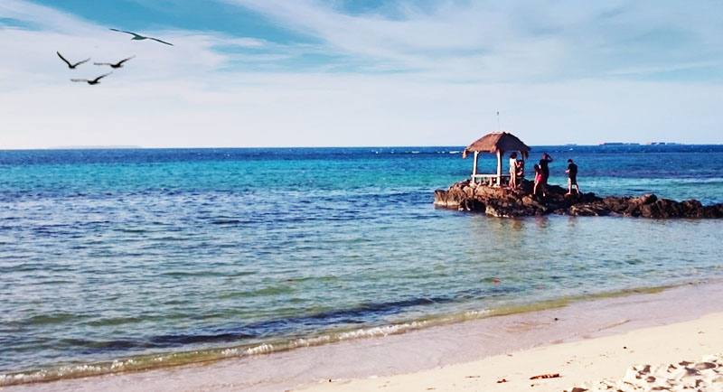 Wisata Karimunjawa, Surga Bahari dengan Pesona Alam Menawan