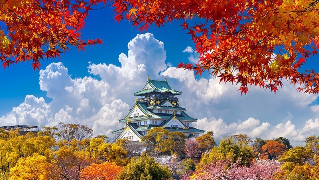 Rekomendasi 4 Kota Jepang Aman untuk Solo Trip