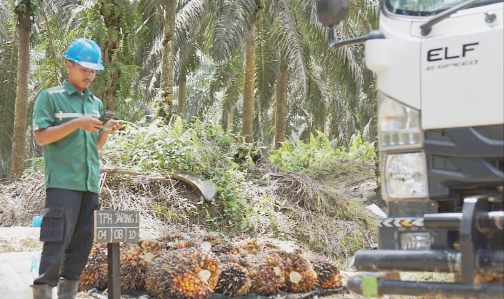 Astra Agro Perkuat Komitmen Keberlanjutan Lewat Nol Deforestasi