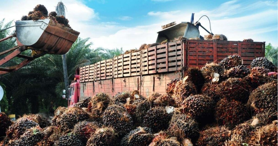 Harga CPO Global Cenderung Stabil Sambil Menanti Arah Pasar Berikutnya