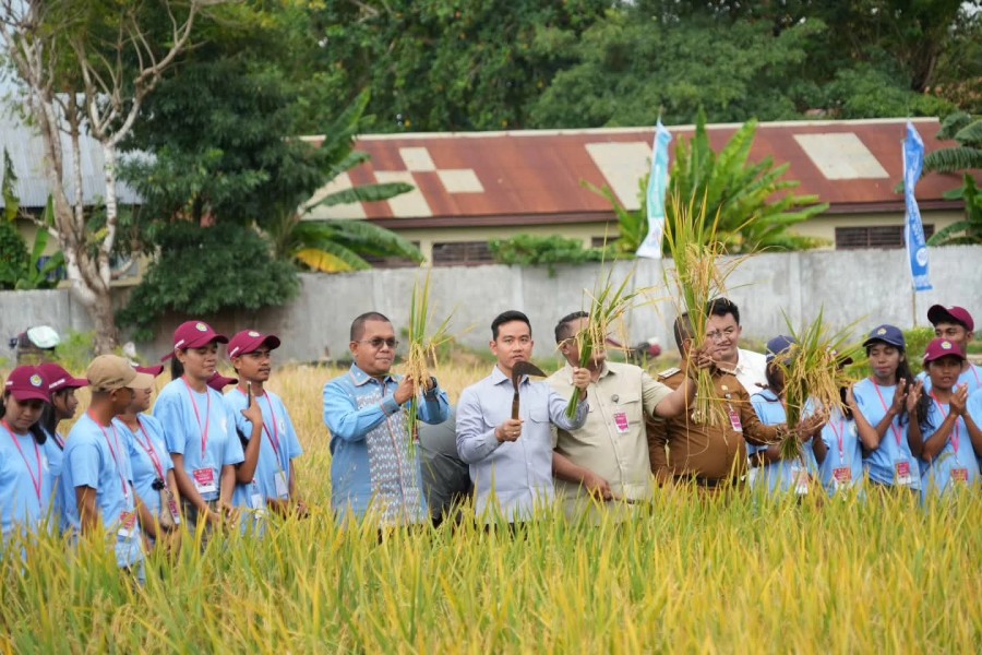 Wapres Gibran Apresiasi Petani Muda di Agroeduwisata GMIT Tarus Kupang