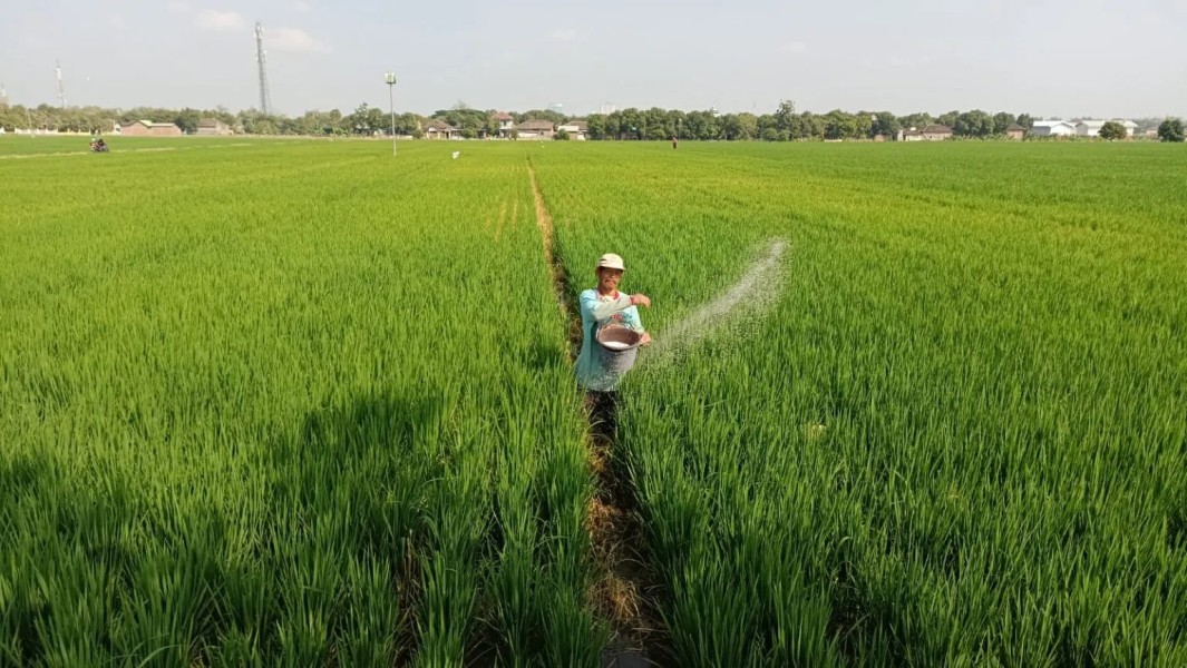 Petani Muda Berperan Besar Dorong Popularitas Pupuk Organik Berkualitas
