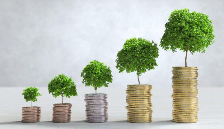 Strategi Baru Otorita IKN Untuk Mempercepat Investasi dan Pembangunan Ibu Kota