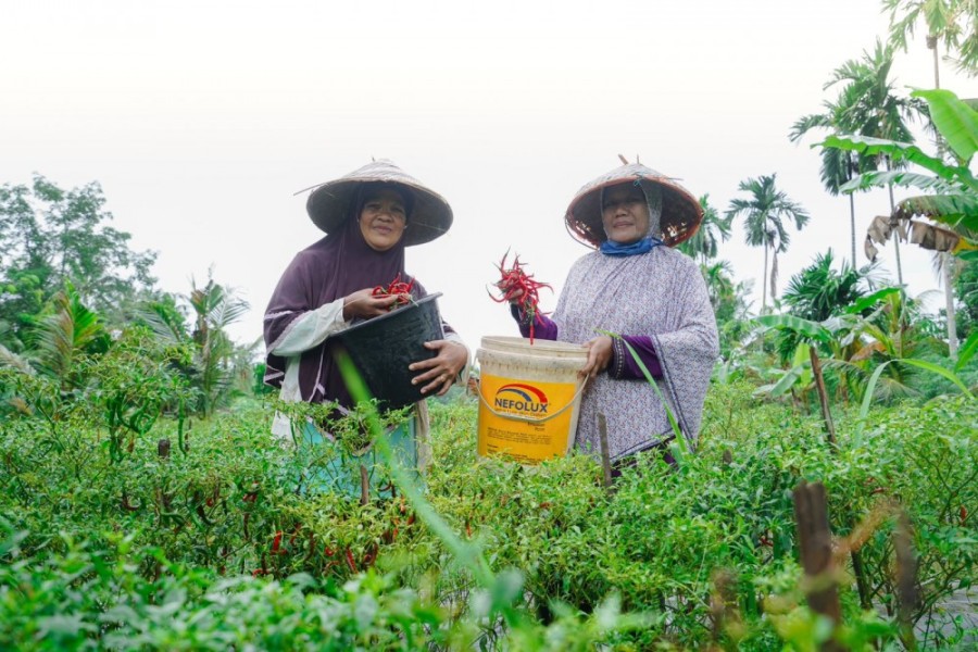 MIND ID Komitmen Tingkatkan Kapasitas Masyarakat Lokal Melalui Program CSR Berkelanjutan
