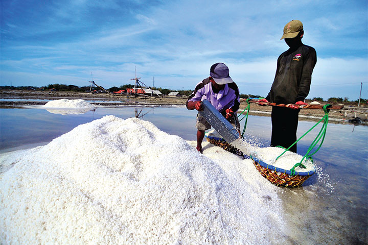 Indonesia Siapkan Institut Garam Nasional Dorong Swasembada