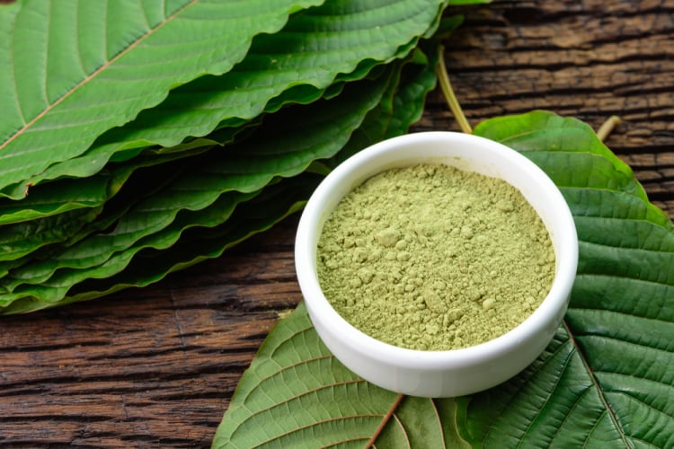 Indonesia Manfaatkan Ekspor Daun Surga untuk Produk Herbal Berkualitas