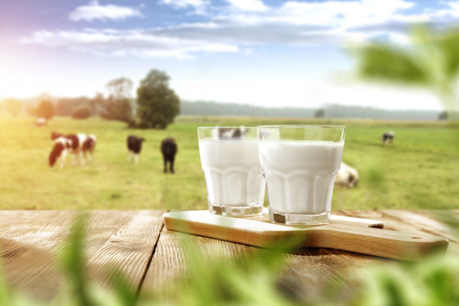 Susu Full Cream atau Low Fat, Mana Pilihan Terbaik untuk Tubuh?
