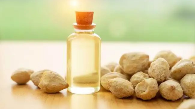 Manfaat Minyak Kemiri Murni untuk Kesehatan dan Perawatan Alami