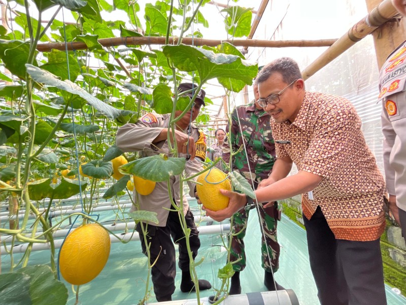 Kolaborasi Positif antara Petani Melon dan Aparat Keamanan