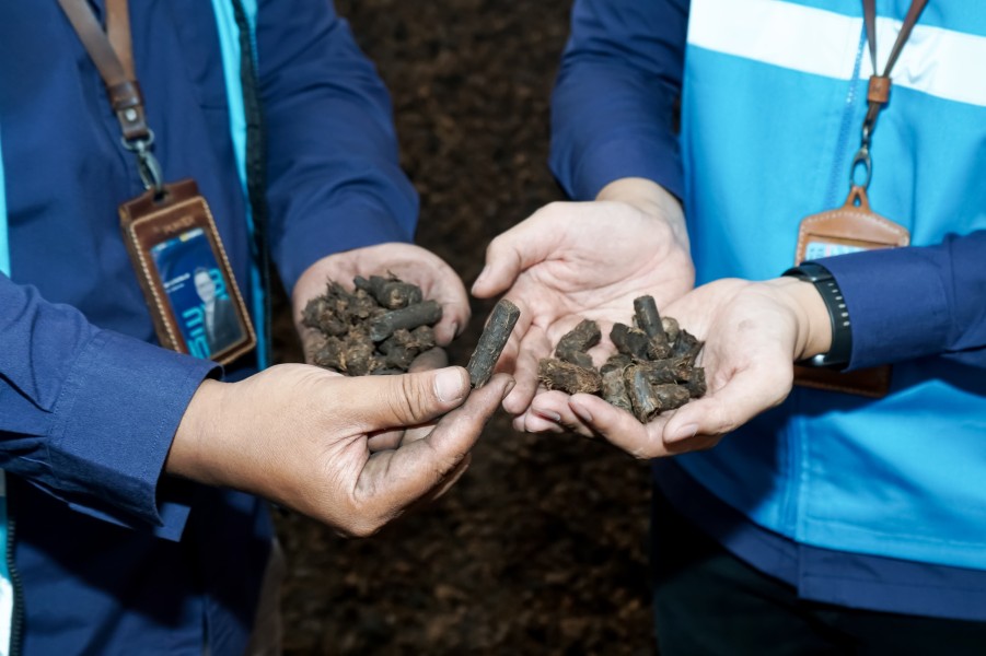 PLTU Sintang Maksimalkan Biomassa Tandan Kosong, PLN IP Terdepan