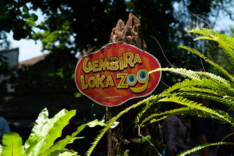 Daftar Satwa di Gembira Loka Zoo Jogja