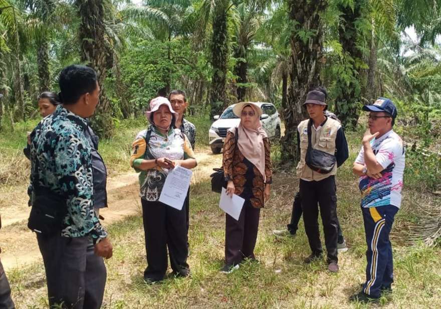 Petani Sawit Paser Didorong Melek Sertifikasi Lewat Pelatihan ISPO Gratis