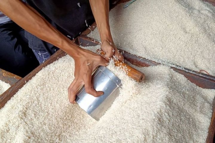 Produksi Beras Nasional Melonjak Meski Cuaca Ekstrem Melanda