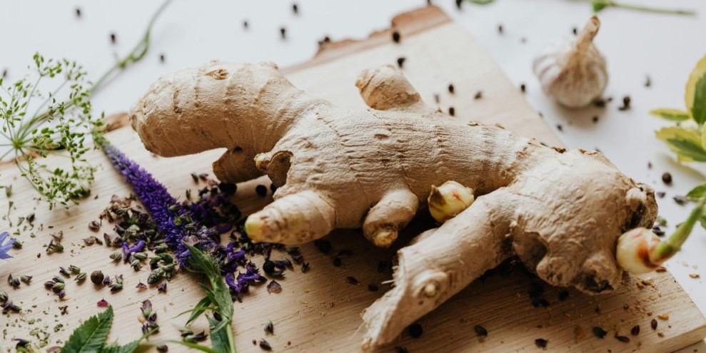 10 Manfaat Jahe Merah Yang Mujarab Redakan Penyakit