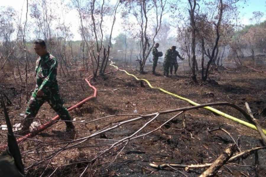 Cuaca Panas di Pantai Barat Selatan Aceh Picu Kekhawatiran Terjadinya Kebakaran Hutan dan Lahan
