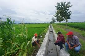 Puluhan Petani Jombang Protes Dugaan Pengambilalihan Tanah Gogol oleh Pengembang Perumahan