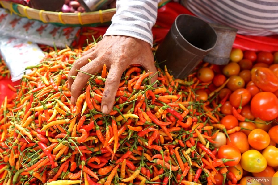 Stabilitas Harga Sembako: Cabai, Bawang, Tomat, dan Beras di Gorontalo Utara