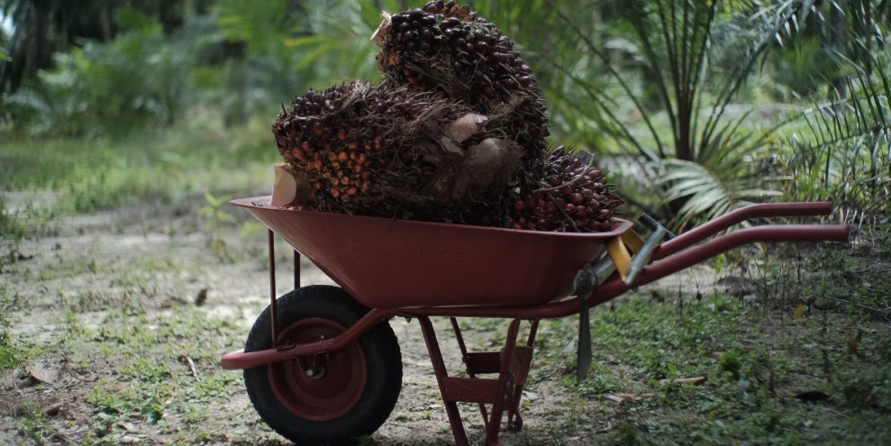 Kementan Akan Tiru Keberhasilan Sawit Untuk Hilirisasi 7 Komoditas Unggulan