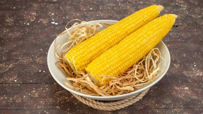 Khasiat Rutin Makan Jagung Bagi Kesehatan: Manfaat dan Keunggulan Gizi yang Perlu Diketahui