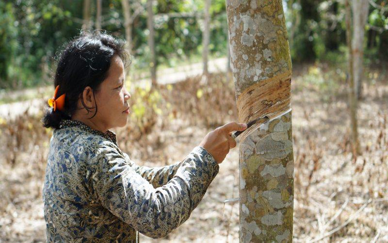 Ekspor Karet Sumatera Selatan Tetap Normal Meski Ekonomi Global Tak Menentu, Menurut Gapkindo