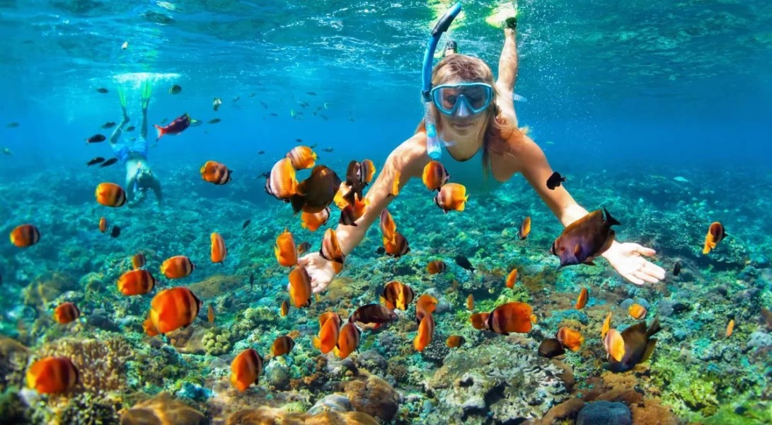 6 Tips Aman Snorkeling Meski Masih Pemula 6 Tips Aman Snorkeling Meski Masih Pemula