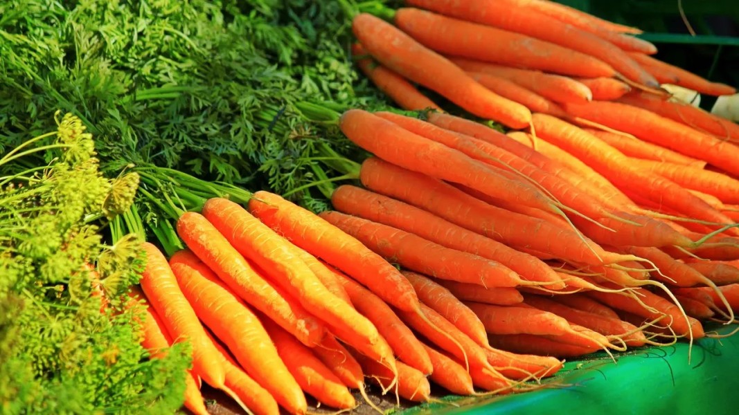 Makanan Kaya Vitamin A Selain Wortel yang Mudah Ditemukan di Sekitar