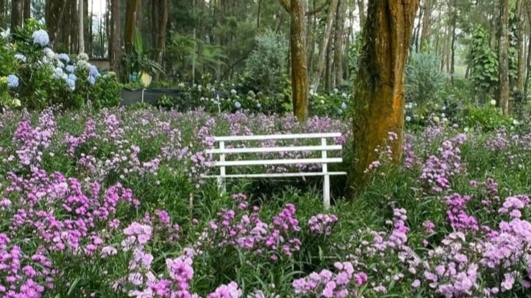 3 Wisata Alam Kebun Bunga Malang Penuh Vibes Estetik