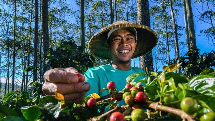 Ketahanan Pangan Nasional: Peran Bank Indonesia dan Dukungan Bagi Petani