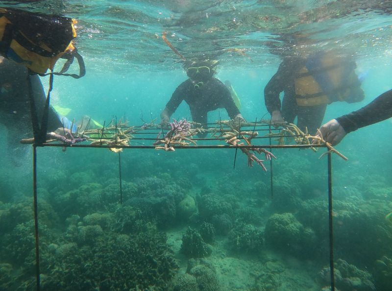 Menambang Tanpa Merusak Laut, Komitmen Hijau MIND ID