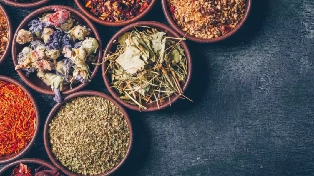 Herbal Terbukti Bantu Penderita Diabetes Kelola Gula Darah Pada Tubuh