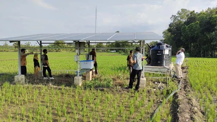 Petani Sragen Hemat Biaya Lewat Pompa Surya