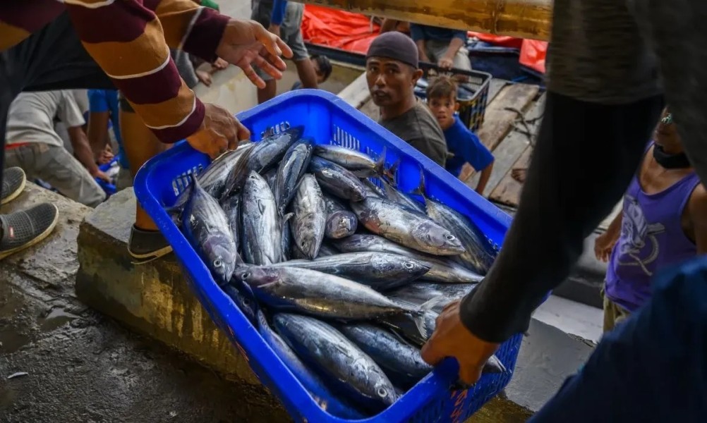 Dinas Perikanan Jayapura Optimis Capai Target Retribusi Hingga Desember 2026