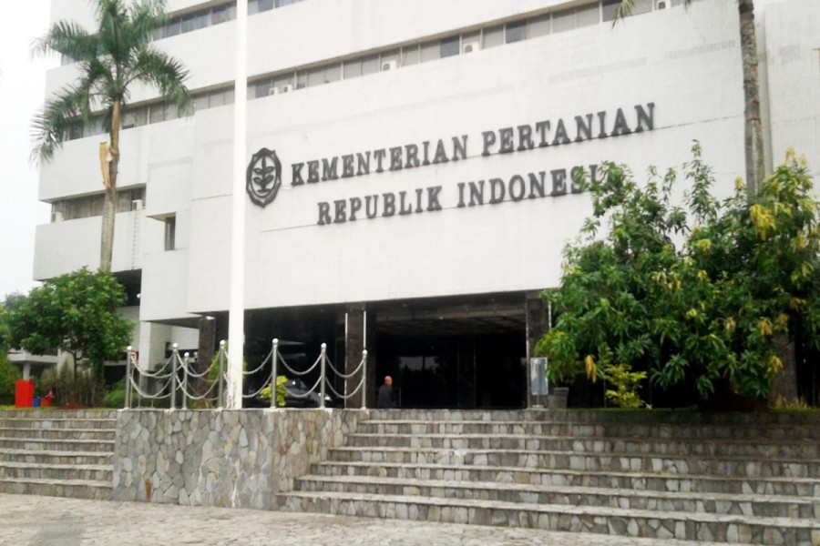 Harga Sawit Turun Saat Dolar Naik, Mentan Amran: Ada Anomali