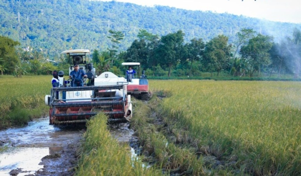 Strategi Jawa Tengah Percepat Swasembada Pangan Nasional Berkelanjutan