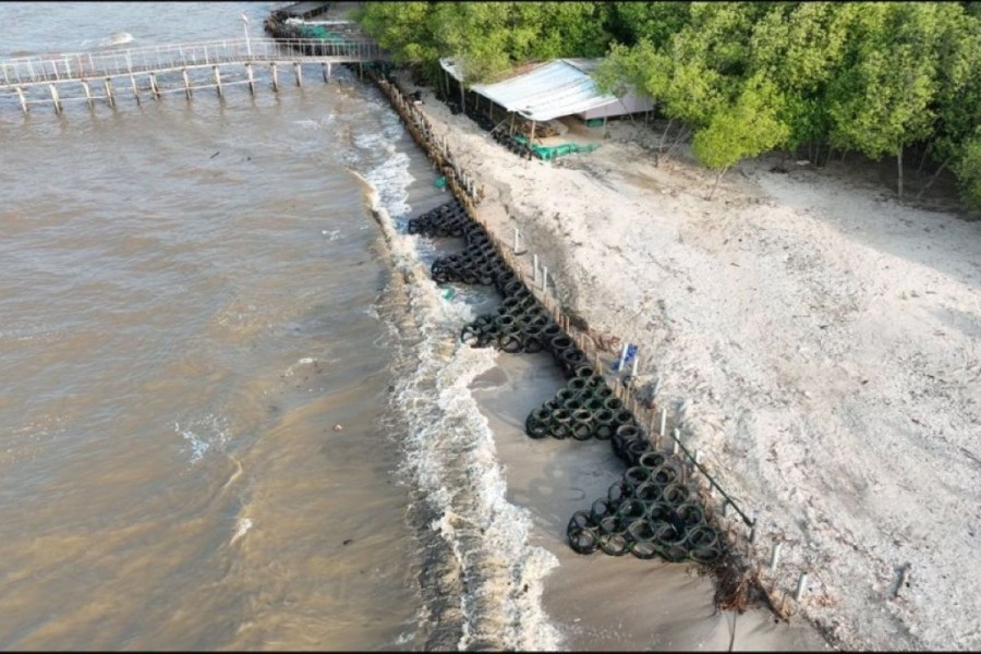 Tangkal Abrasi, Pertamina Hulu Energi Luncurkan Inovasi Appostraps di Pesisir Lampung