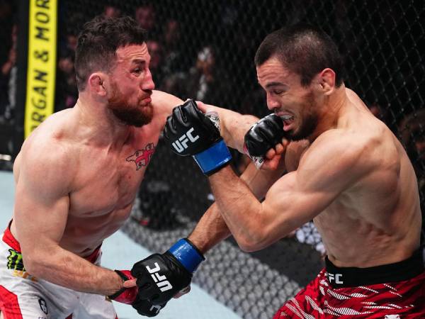 UFC: Siapa yang Bisa Menumbangkan Merab Dvalishvili? Fokus pada Umar Nurmagomedov dan Petr Yan