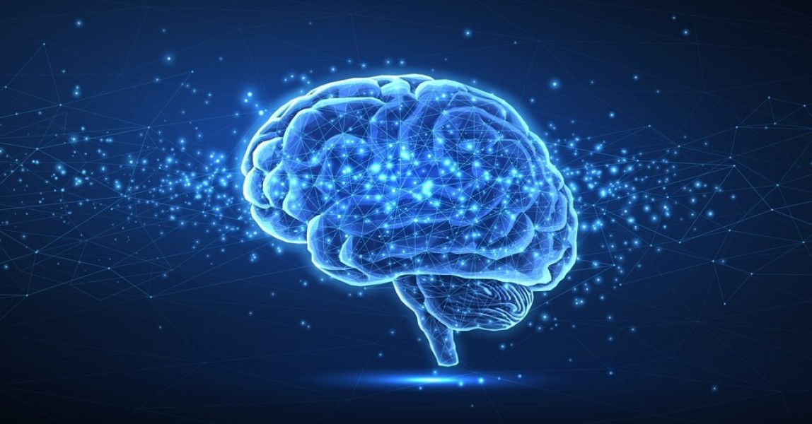 Ciri Orang Ber-IQ Rendah Terlihat dari 11 Kebiasaannya Ini