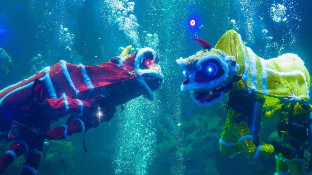 Rayakan Imlek 2026, Ini Jadwal Lengkap Pertunjukan Barongsai Underwater di Sea World Ancol